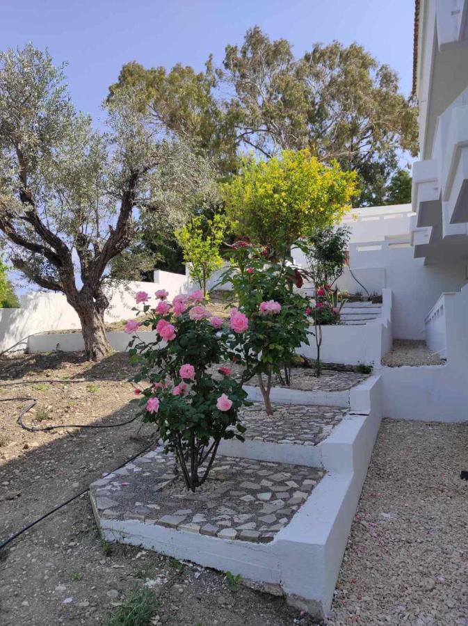 Arocaria - Faliraki Peaceful Apartments ภายนอก รูปภาพ