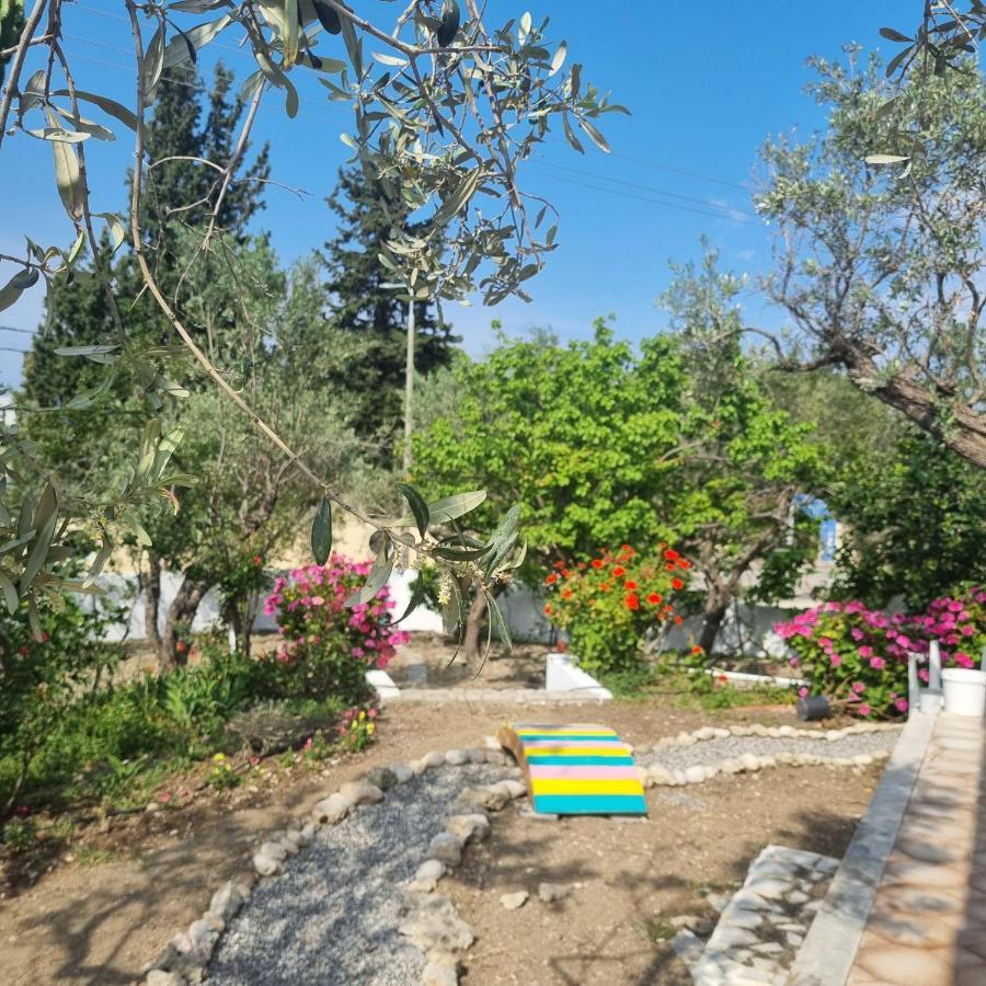 Arocaria - Faliraki Peaceful Apartments ภายนอก รูปภาพ