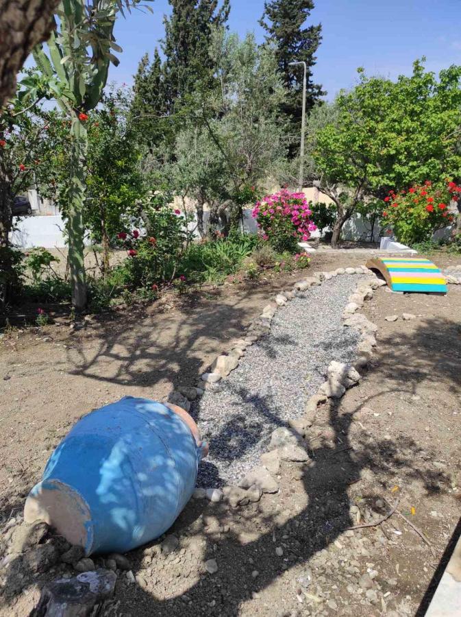 Arocaria - Faliraki Peaceful Apartments ภายนอก รูปภาพ
